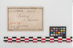 Etiketten zu Bronzegürtelblech (NHMW-PRAE-023949)